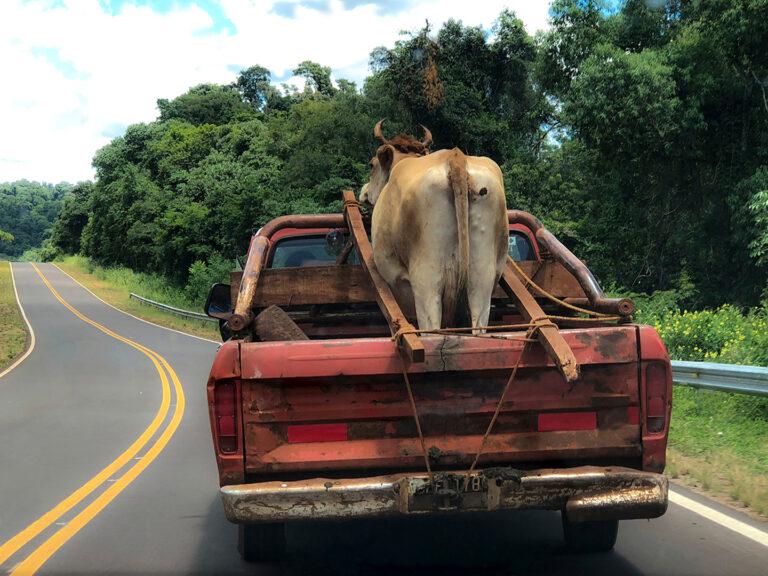 Lourdes Salarini - Last ride